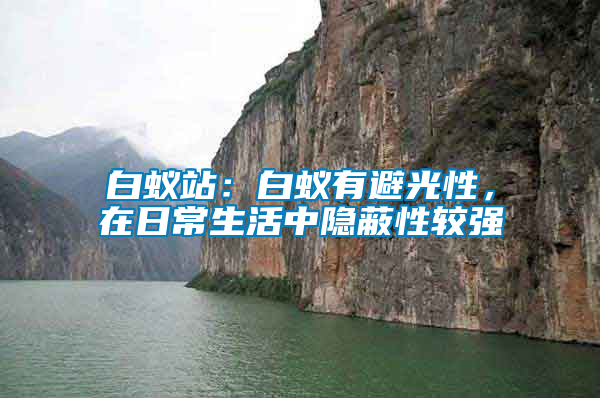 白蟻站：白蟻有避光性，在日常生活中隱蔽性較強(qiáng)