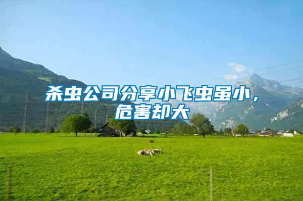 殺蟲公司分享小飛蟲雖小，危害卻大