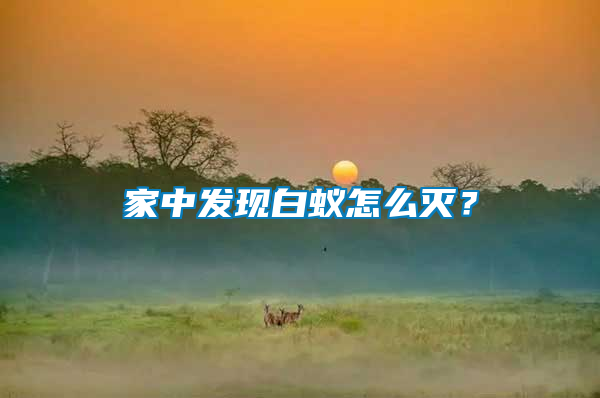 家中發(fā)現(xiàn)白蟻怎么滅？