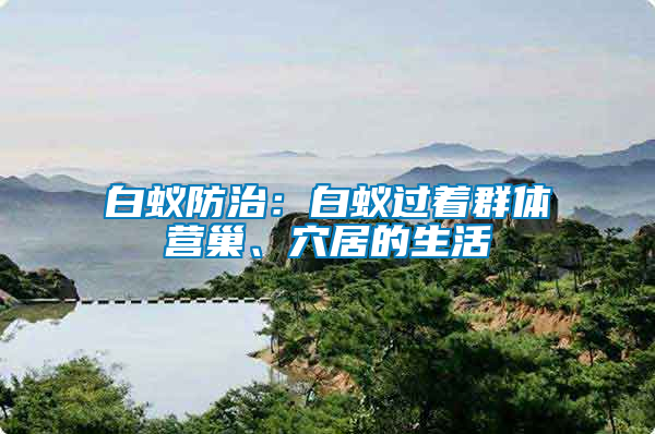 白蟻防治：白蟻過著群體營巢、穴居的生活