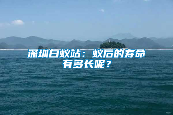 深圳白蟻站：蟻后的壽命有多長呢？