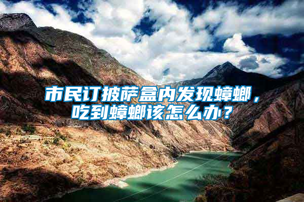 市民訂披薩盒內(nèi)發(fā)現(xiàn)蟑螂，吃到蟑螂該怎么辦？