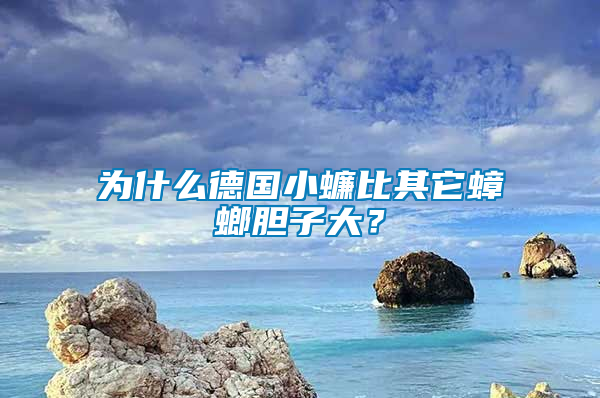 為什么德國小蠊比其它蟑螂膽子大？