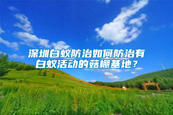 深圳白蟻防治如何防治有白蟻活動的菇棚基地？