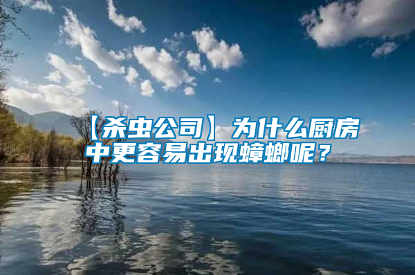 【殺蟲公司】為什么廚房中更容易出現(xiàn)蟑螂呢？
