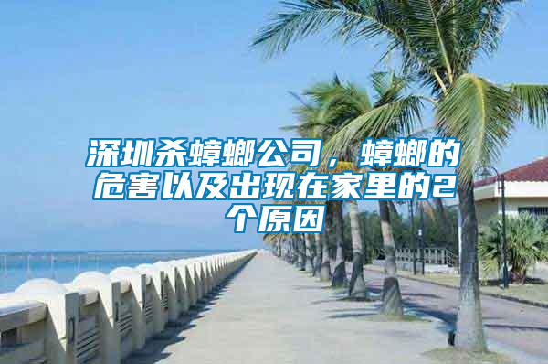 深圳殺蟑螂公司，蟑螂的危害以及出現(xiàn)在家里的2個原因