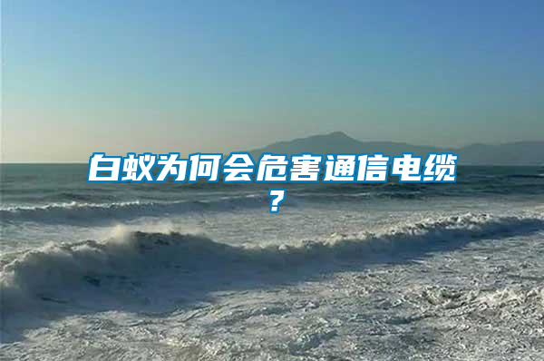 白蟻為何會危害通信電纜？
