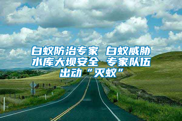 白蟻防治專家 白蟻威脅水庫大壩安全 專家隊(duì)伍出動“滅蟻”